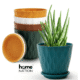 Round Flower Pots for Home Planters (1)